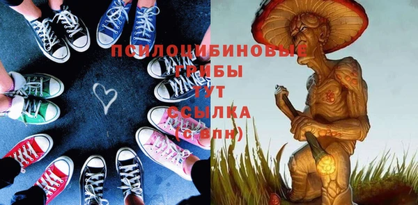 молекула духа Алзамай