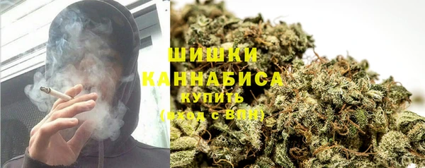 молекула духа Алзамай