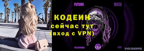 молекула духа Алзамай